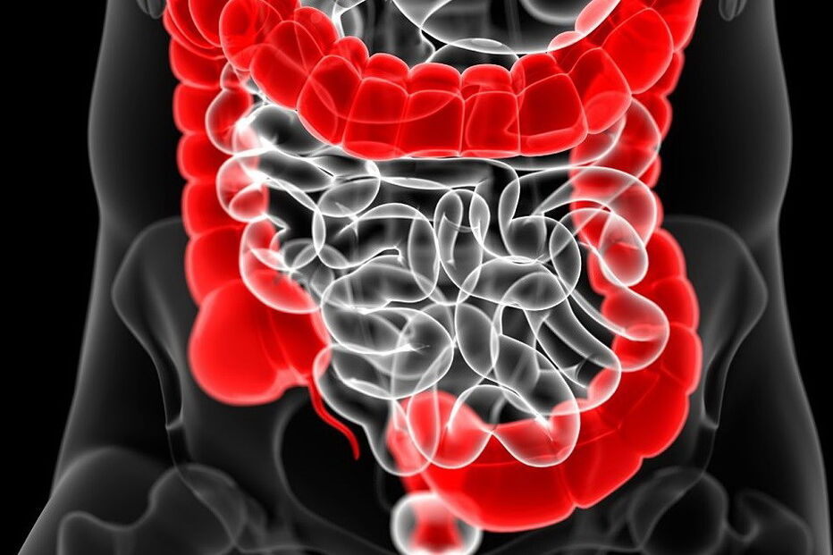 Associação de Apoio ao Doente, Cancro Digestivo, Germano de Sousa, Saúde, presidente da Europacolon Portugal, Vítor Neves, Portugal, Ministério da Saúde, Associação de Doentes, saúde, questões sociais