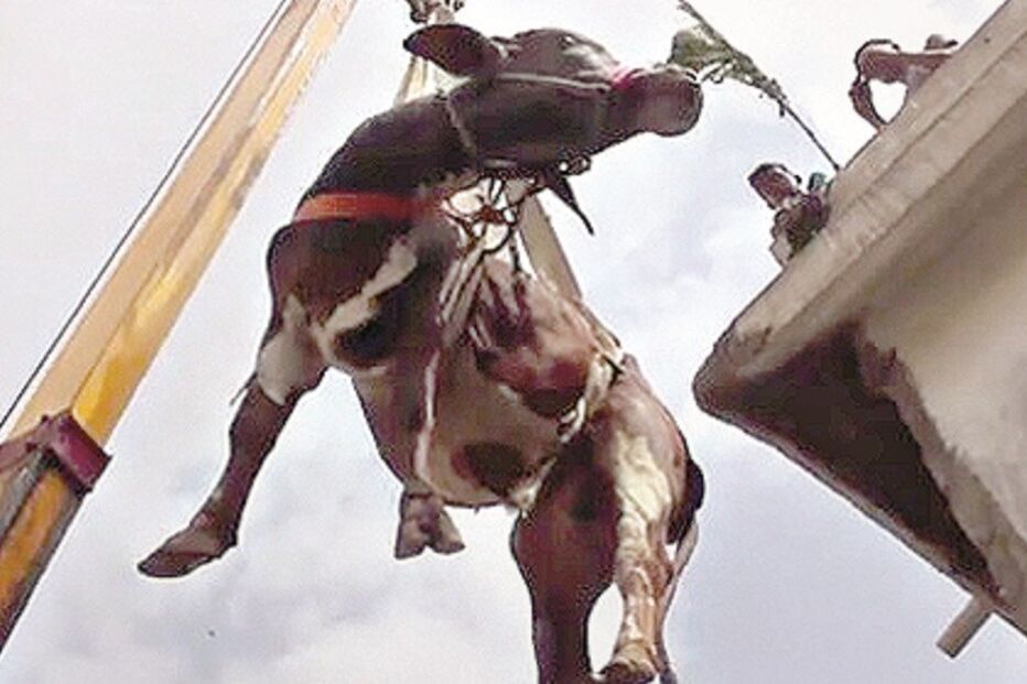 29-09-2016_21_23_06 Imagem 30f.jpg