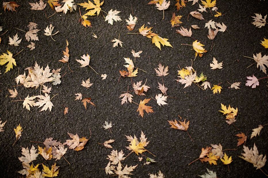 agência Lusa, Madalena Rodrigues, Lusa, Instituto Português, Celsius, meteorologia, questões sociais