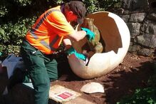 02-10-2016_09_25_15 nintchdbpict000270510591.jpg