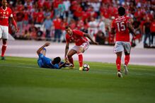  benfica, feirense