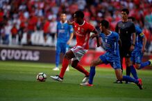 benfica, feirense