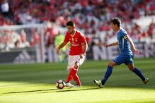 benfica, feirense