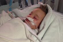 Bebé, Emmaleigh Barringer, Autoridades, Violação, Morte, Agressor, Benjamin Taylor, Morte cerebral