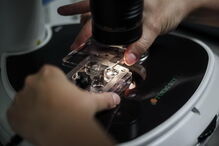 Portugal, CNPMA, Instituto Valenciano de Infertilidade, Lisboa, Microinjeção Intracitoplasmática, saúde, questões sociais, ciência e tecnologia, embriões humanos