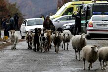 Pedro João Dias, tiroteio, São Pedro do Sul, GNR