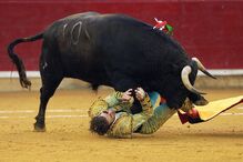 15-10-2016_21_49_49 614825576.jpg