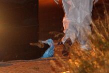 tiroteio, PSP, Barreiro