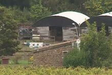 Pedro Dias, Vila Real, PSP, homicida, aguiar da beira, Carro Queimado, Vale de Nogueira, GNR, Aguiar da Beira, País, Guarda, Candal, Marco Cruz, São Pedro do Sul, crime, lei e justiça, questões sociais, polícia