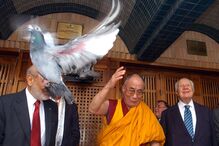 19-10-2016_17_45_47 2007 - 250427.jpg