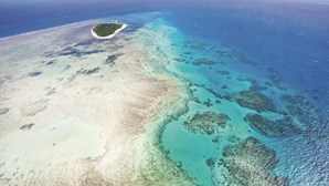 A Grande Barreira de Coral é uma das sete maravilhas naturais do mundo 