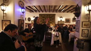 Sr. Vinho is for fado and wine lovers
