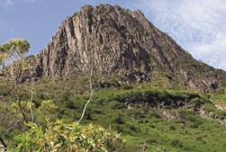 O Barron Gorge National Park, perto de Cairns, oferece algumas das melhores paisagens de floresta tropical   