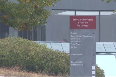 Docente masturba-se numa videochamada