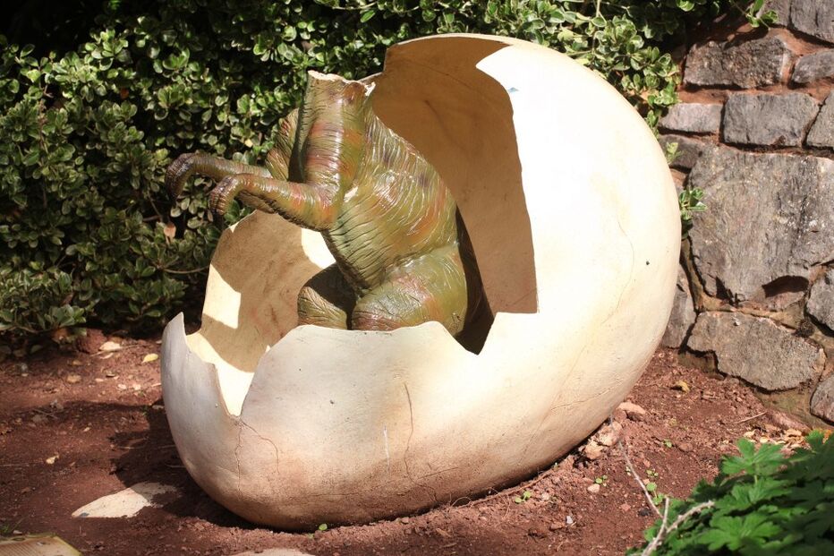 02-10-2016_09_25_13 nintchdbpict000270481792.jpg