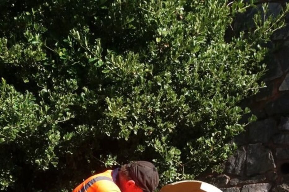 02-10-2016_09_25_15 nintchdbpict000270510591.jpg