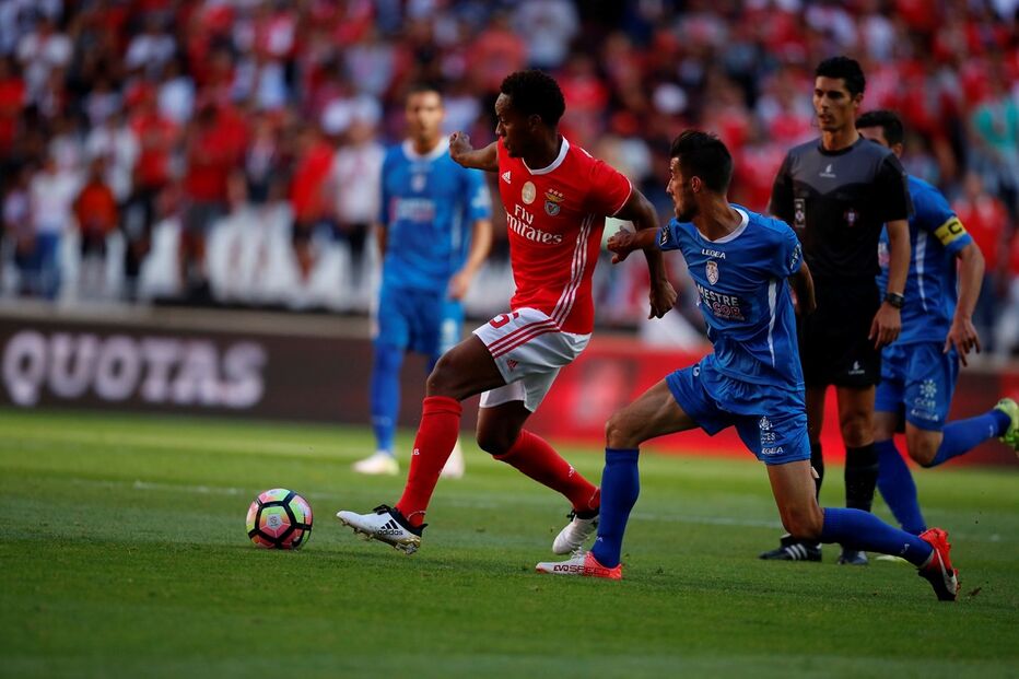benfica, feirense
