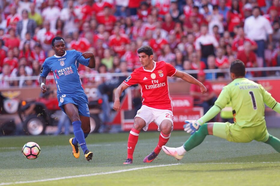 benfica, feirense
