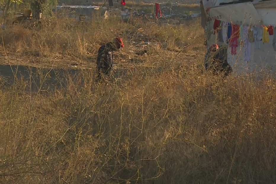 03-10-2016_08_46_46 00E81FAC.jpg