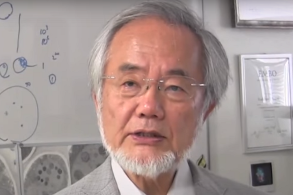 Nobel da Medicina, Yoshinori Ohsumi