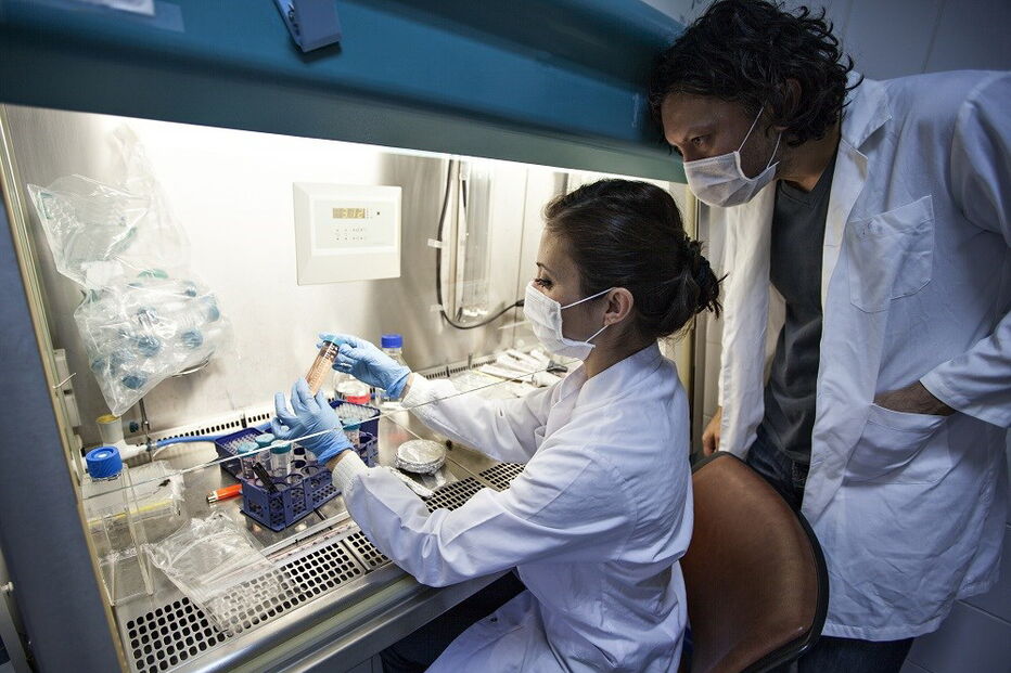 testes, exames, paternidade, milhões, filhos