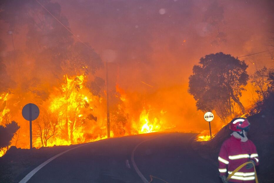 incêndio monchique