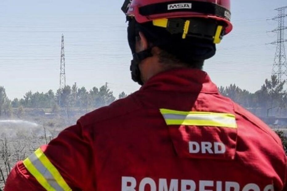 Ermesinde, Valongo, Comando Distrital de Operações de Socorro, CDOS, economia, negócios e finanças, agricultura e pescas, floresta e madeira