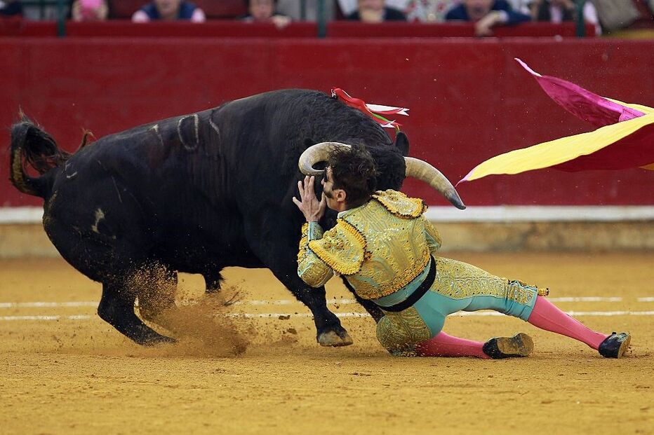 15-10-2016_21_49_48 614825694.jpg