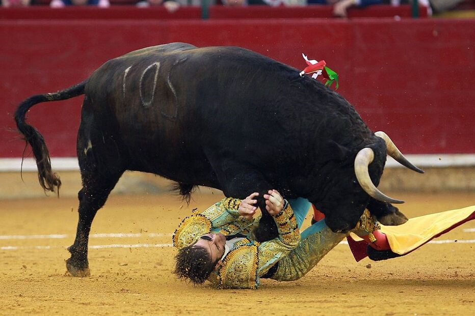 15-10-2016_21_49_49 614825576.jpg