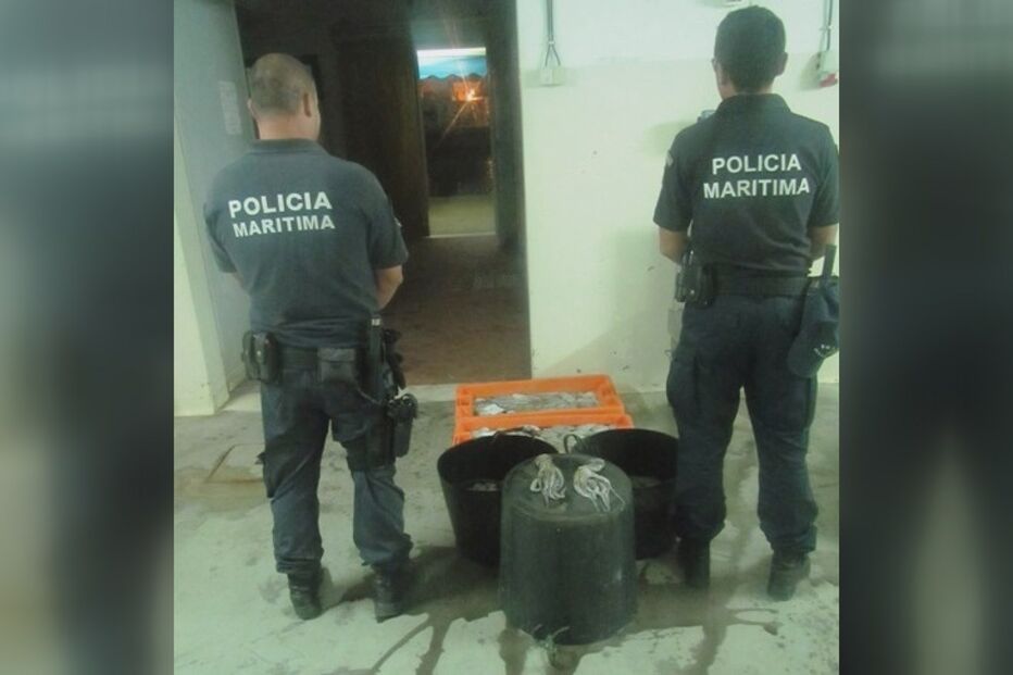 17-10-2016_03_49_15 Still1017_00000.jpg