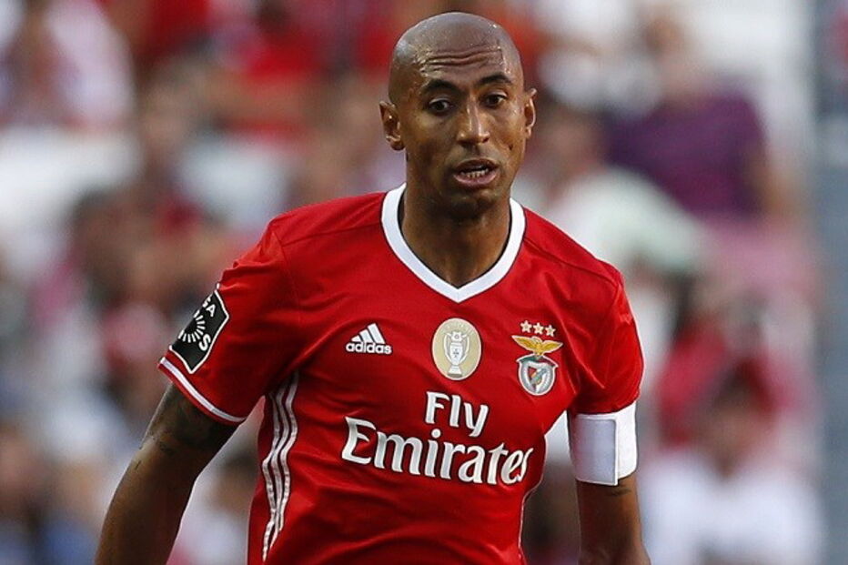 Luisão, Benfica