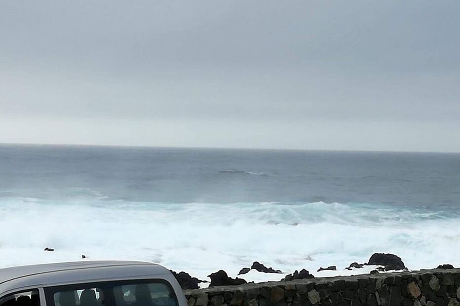 turista, sérvia, açores