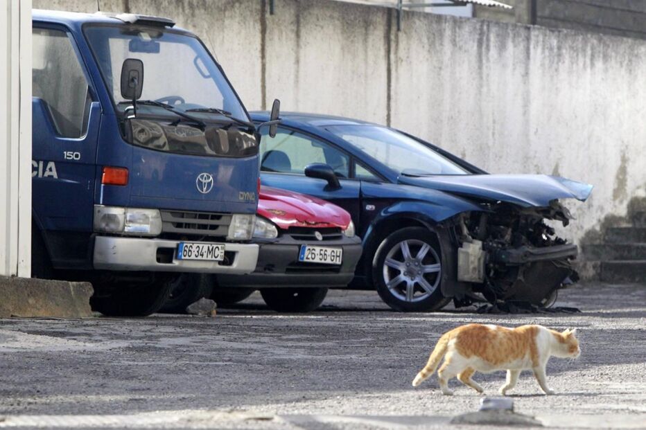 19-10-2016_12_51_03 M2-12836370.JPG