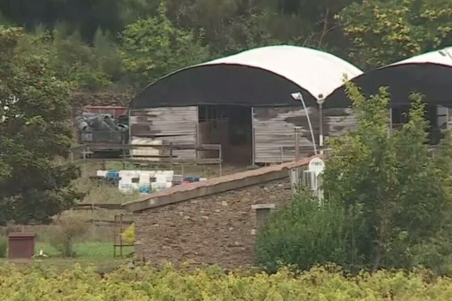 Pedro Dias, Vila Real, PSP, homicida, aguiar da beira, Carro Queimado, Vale de Nogueira, GNR, Aguiar da Beira, País, Guarda, Candal, Marco Cruz, São Pedro do Sul, crime, lei e justiça, questões sociais, polícia