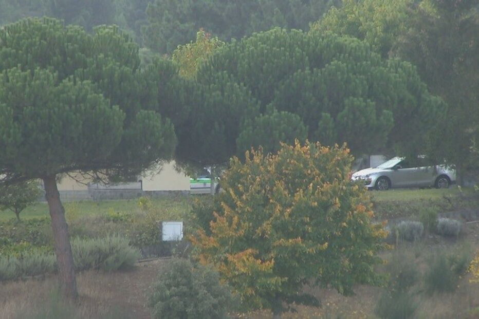 Aguiar da Beira, Pedro Dias, Polícia Judiciária, assalto, casa