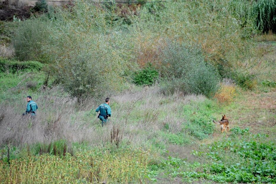 24-10-2016_23_25_23 M2-12866045.JPG