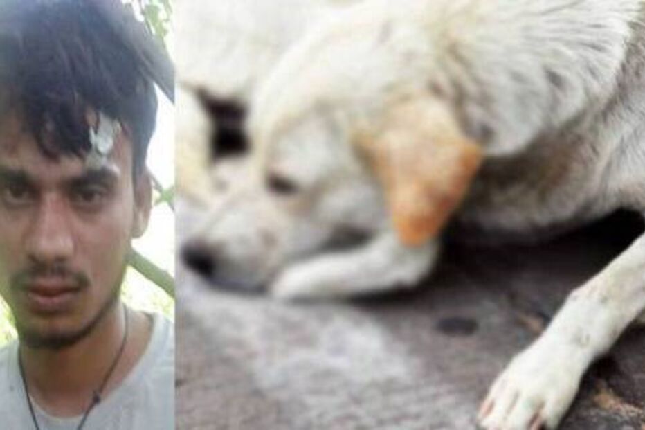 25-10-2016_19_14_19 delhi-boy.jpg