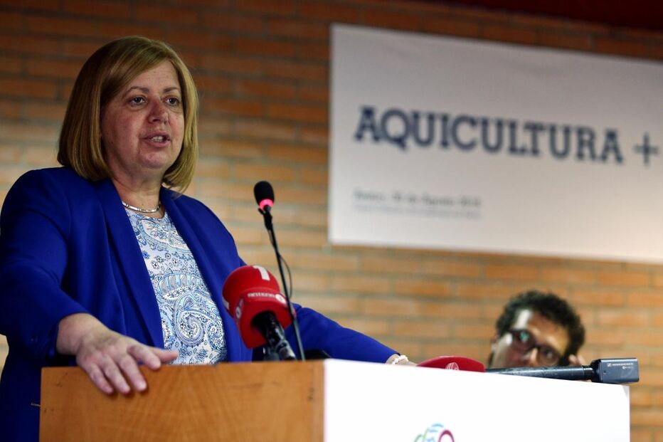 30-10-2016_19_24_54 ana p.jpg