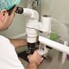 <![CDATA[ Centro de Fertilidade da ULS Almada-Seixal criado há um ano reduziu tempos de espera ]]>