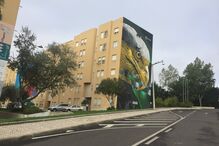 03-11-2016_14_11_20 IMG_3893.JPG