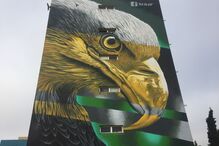 03-11-2016_14_11_22 IMG_3895.JPG