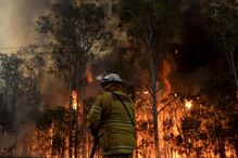 Nova Gales do Sul, Austrália, Port Stephens, acidentes e desastres, incêndios