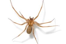 28-11-2016_17_03_43 135184100.jpg