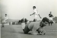 Benfica, Torino, queda de avião, futebol