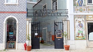Experience the Portuguese life by shopping at Vida Portuguesa