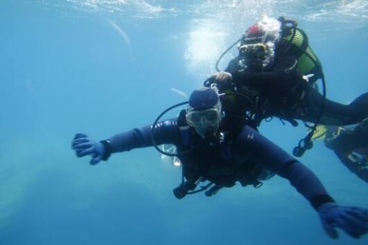 diving, sesimbra, around