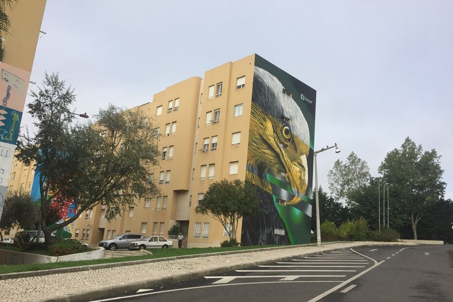 03-11-2016_14_11_20 IMG_3893.JPG