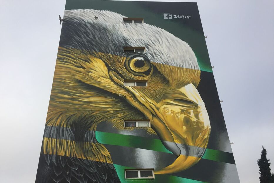 03-11-2016_14_11_22 IMG_3895.JPG