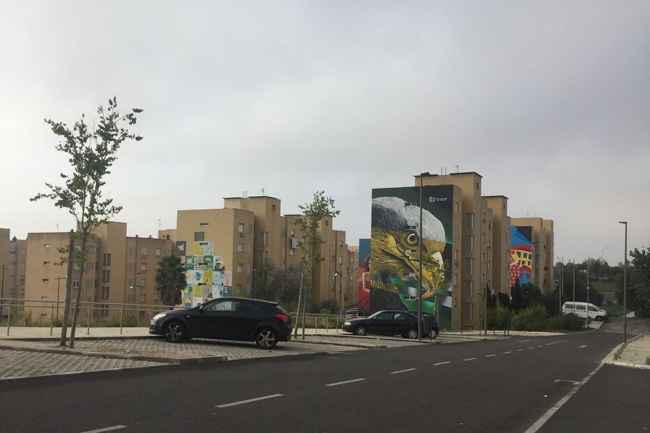 03-11-2016_14_11_24 IMG_3896.JPG