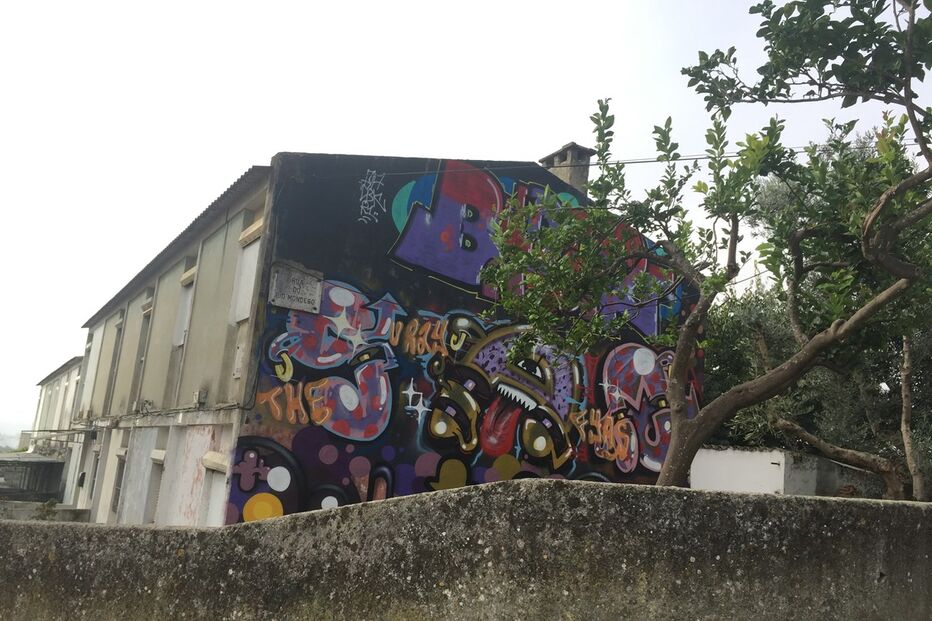 03-11-2016_14_11_30 IMG_3897.JPG